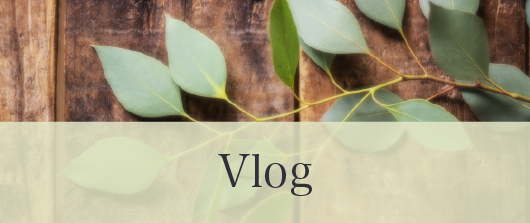 Vlog